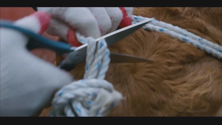 영화 식객에서 가장 슬픈장면_9.webp