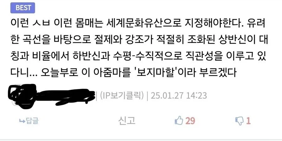 보지마할이 뭔지 찾았다._1.webp