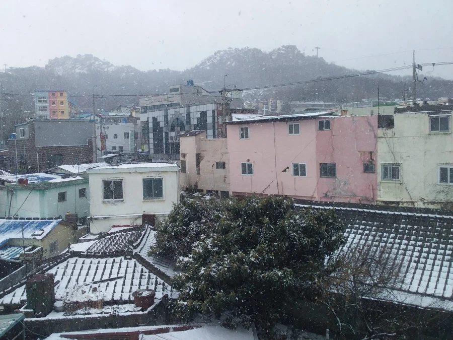 0208 운동일지: "제 설 작업" 편_2.webp