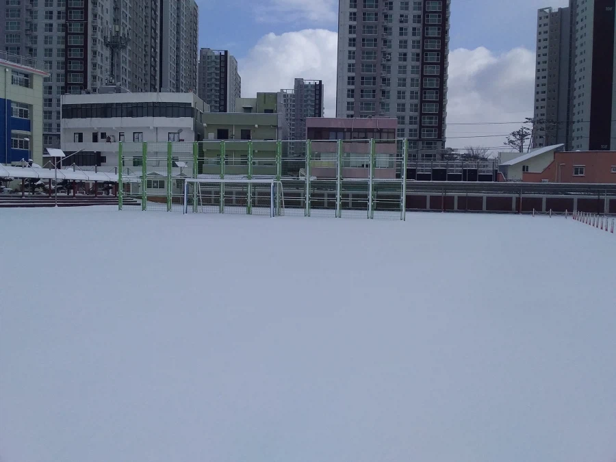 0208 운동일지: "제 설 작업" 편_18.webp