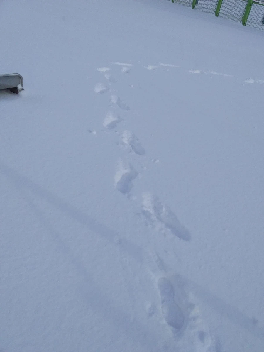 0208 운동일지: "제 설 작업" 편_21.webp