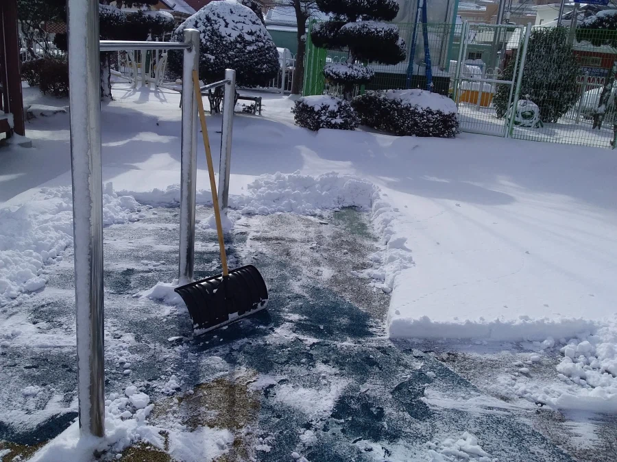 0208 운동일지: "제 설 작업" 편_23.webp