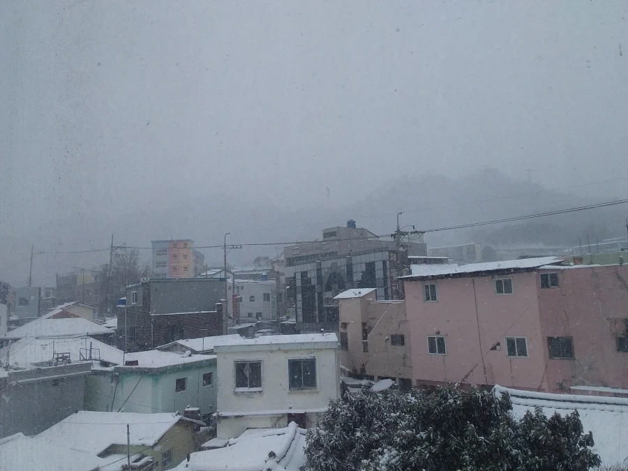 0208 운동일지: "제 설 작업" 편_44.webp