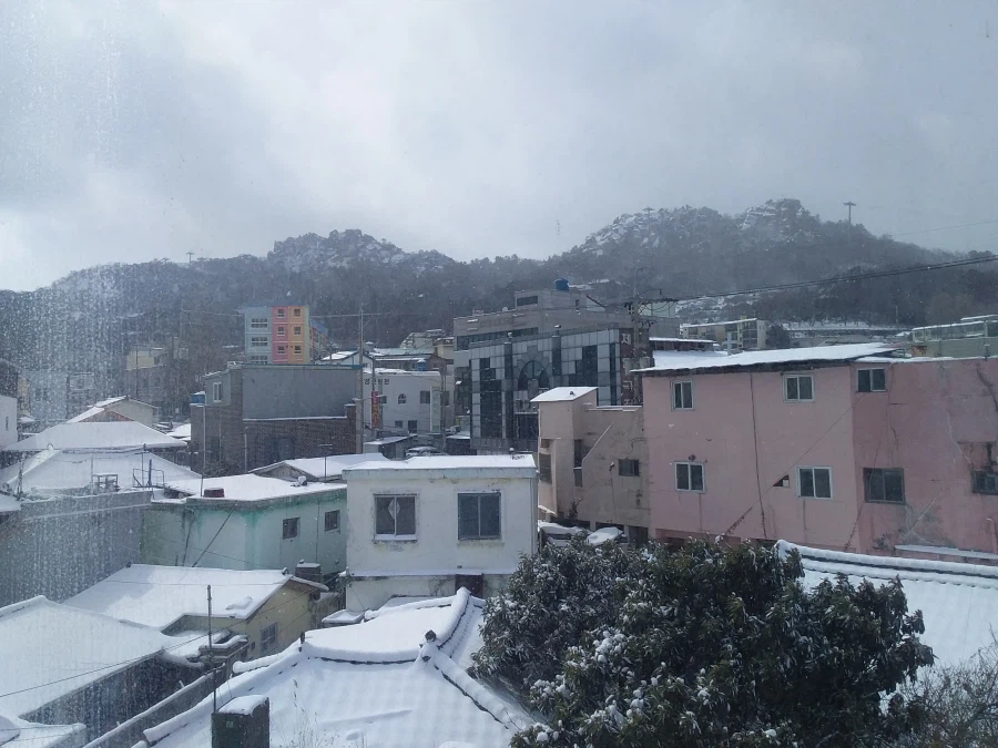 0208 운동일지: "제 설 작업" 편_45.webp