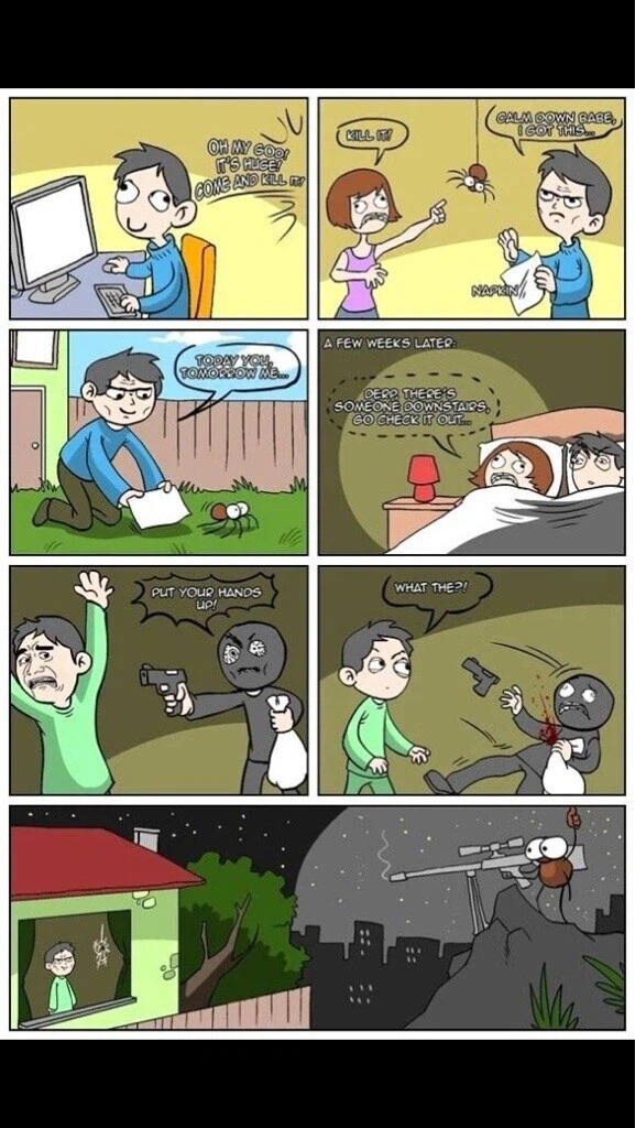 벌레 하나 저격한다.jpg_1.webp