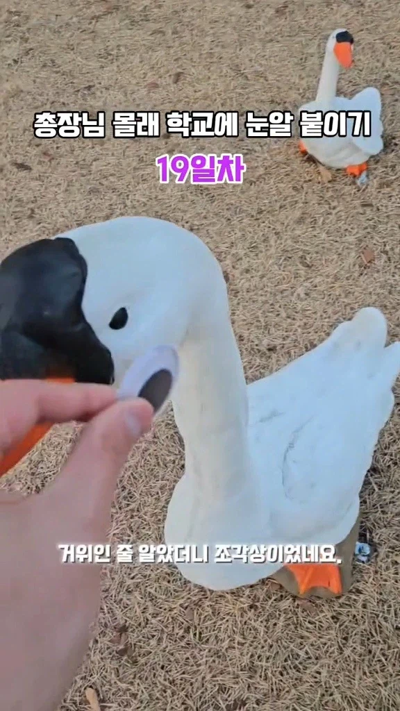 카이스트의 눈알 빌런_3.webp