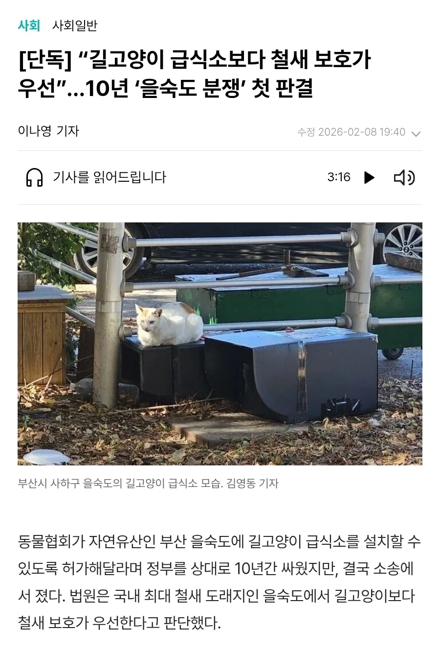 “길고양이 급식소보다 철새 보호가 우선”…10년 ‘을숙도 분쟁’ 첫 판결_1.webp
