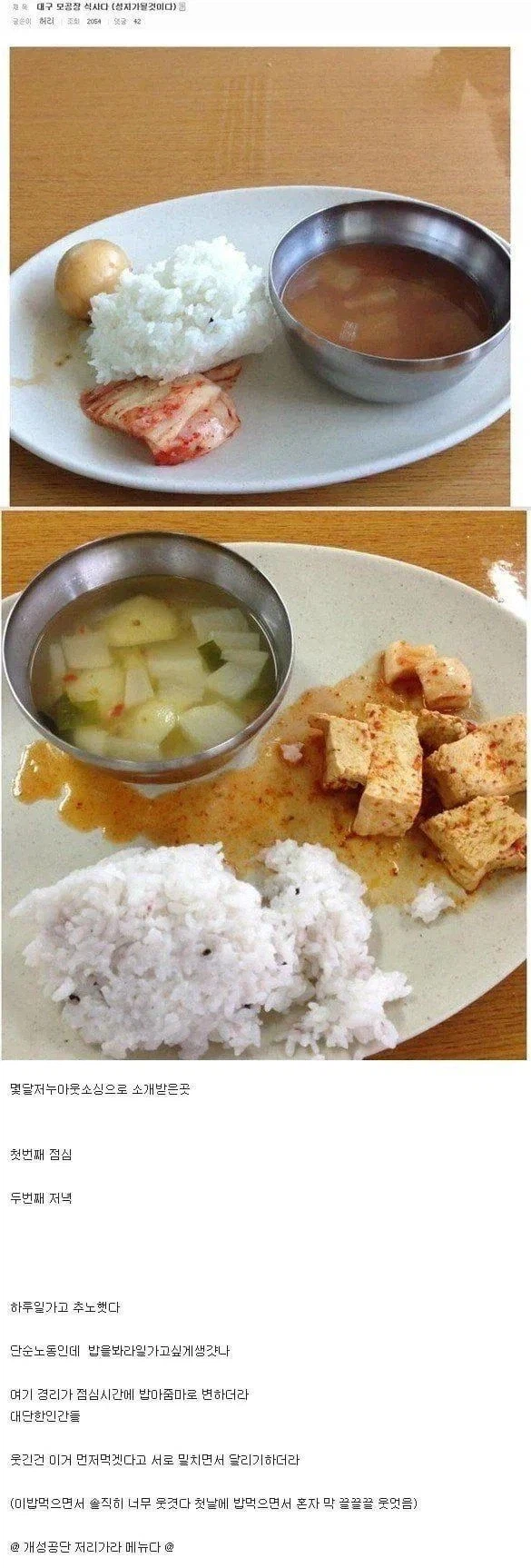 퇴사율 100%라는 대구 중소기업 식단_1.webp
