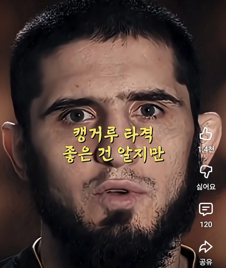 UFC) 캥거루랑 싸우면 이길 수 있어?_11.webp