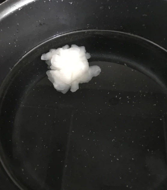 아까 쿠팡에서 산 솔방울오징어 가짜같다고 한거 사진찍어왔어_3.webp