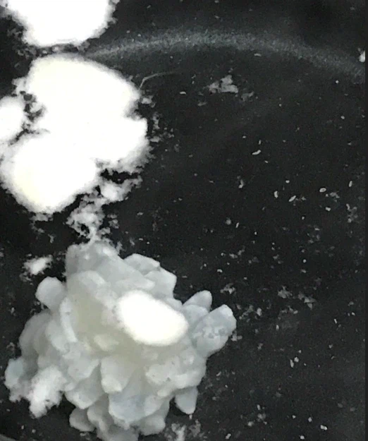 아까 쿠팡에서 산 솔방울오징어 가짜같다고 한거 사진찍어왔어_7.webp