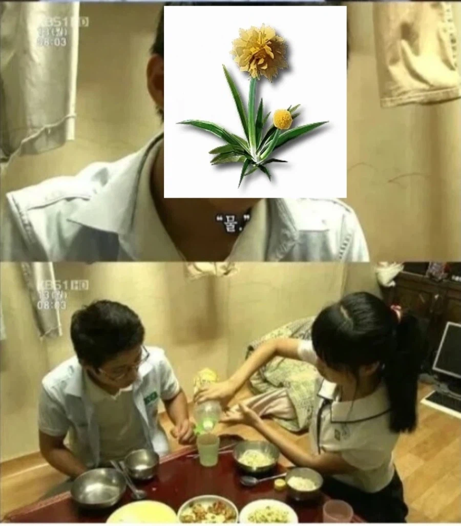 엔드필드)무릉넘어가서 생산설비 배치할때 생각보다 애먹이는것_1.webp