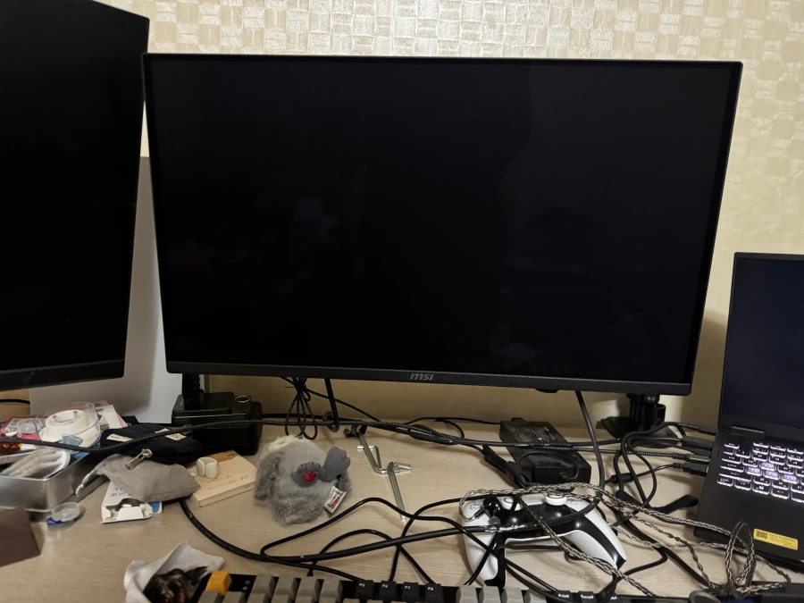 MSI MAG 272QP QD-OLED X24 WQHD 240 후기_4.webp