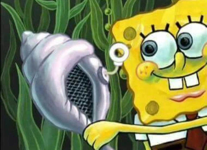 마법의 소라고동님 내일은 카리진 후라게가 나오나요?_1.webp