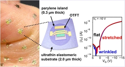 미래기술에 시초가 될만한 논문_1.webp