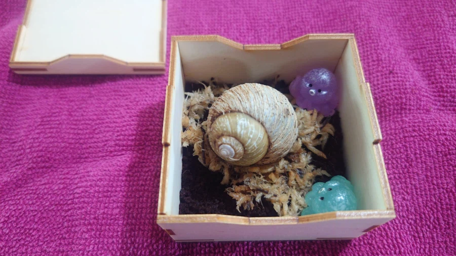 상추별로 간 우리 달팽이_1.webp