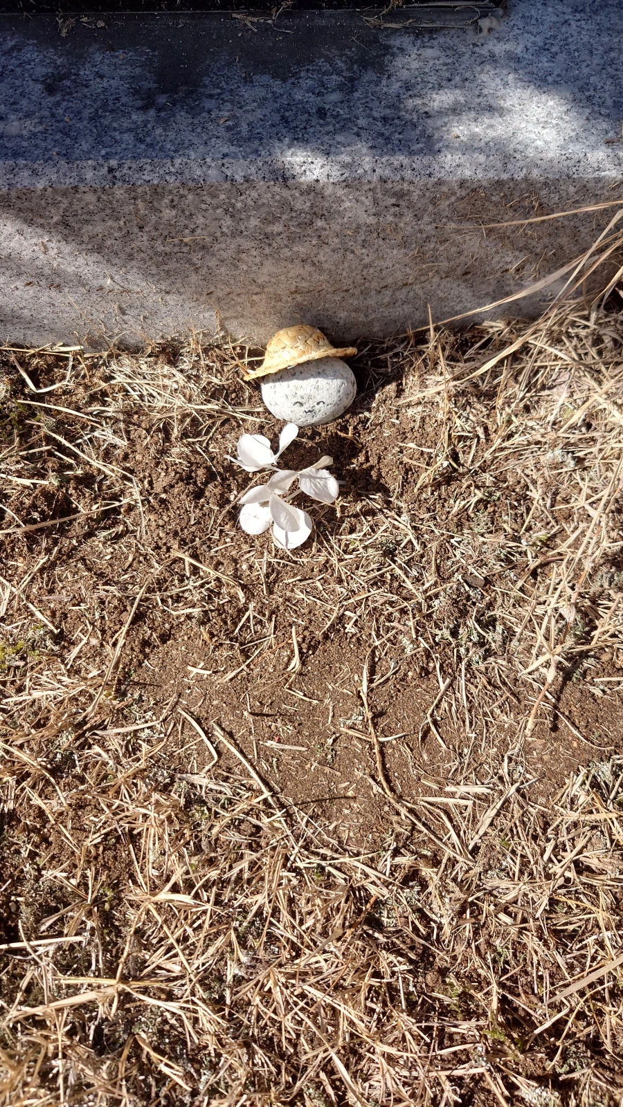 상추별로 간 우리 달팽이_3.webp