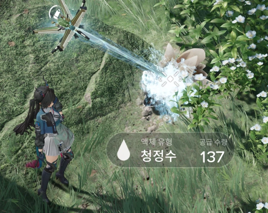 마른 원석충 위치_3.webp