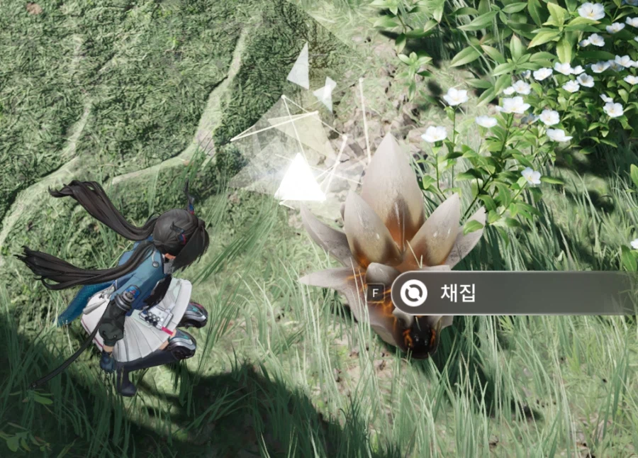 마른 원석충 위치_4.webp