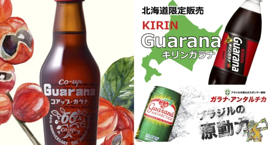 좌충우돌 홋카이도 횡단 여행_10.webp