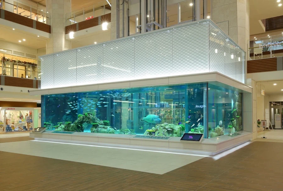 [요모] 오키나와 대가족여행이 고민이라면? 프라이빗 투어로 해결 #95만원_1.webp