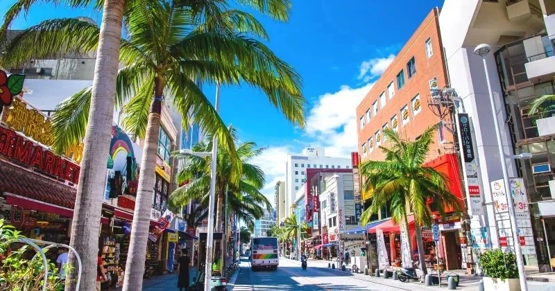 [요모] 오키나와 대가족여행이 고민이라면? 프라이빗 투어로 해결 #95만원_3.webp