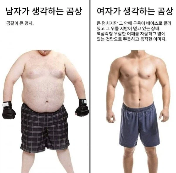 남녀가 생각하는 곰상_2.webp