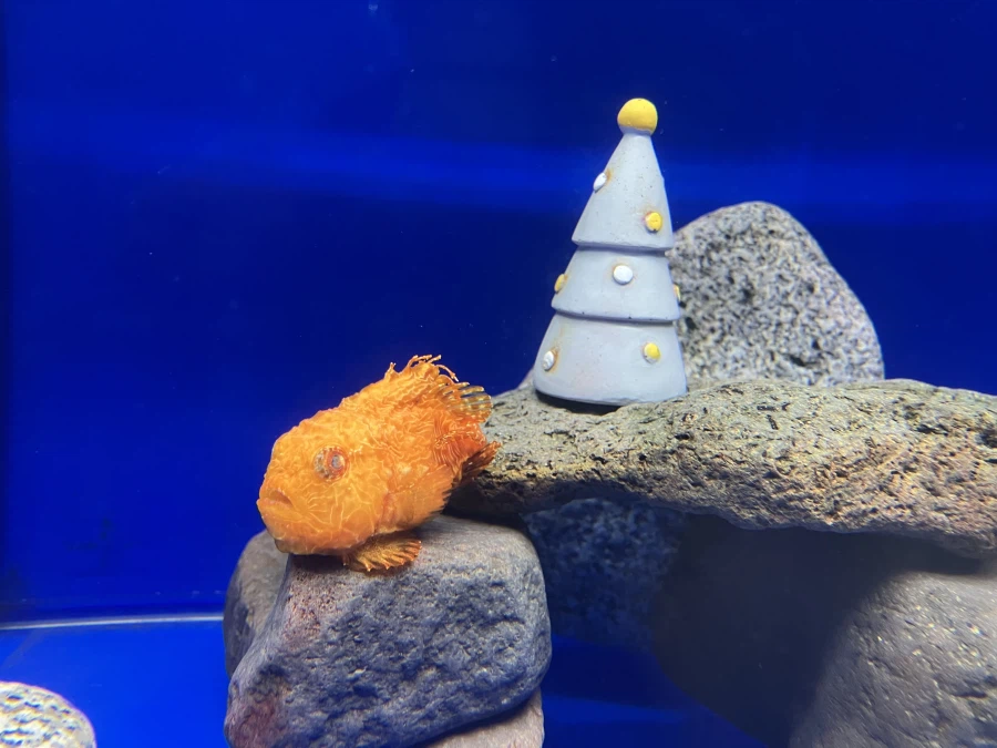 좌충우돌 홋카이도 횡단 여행_191.webp