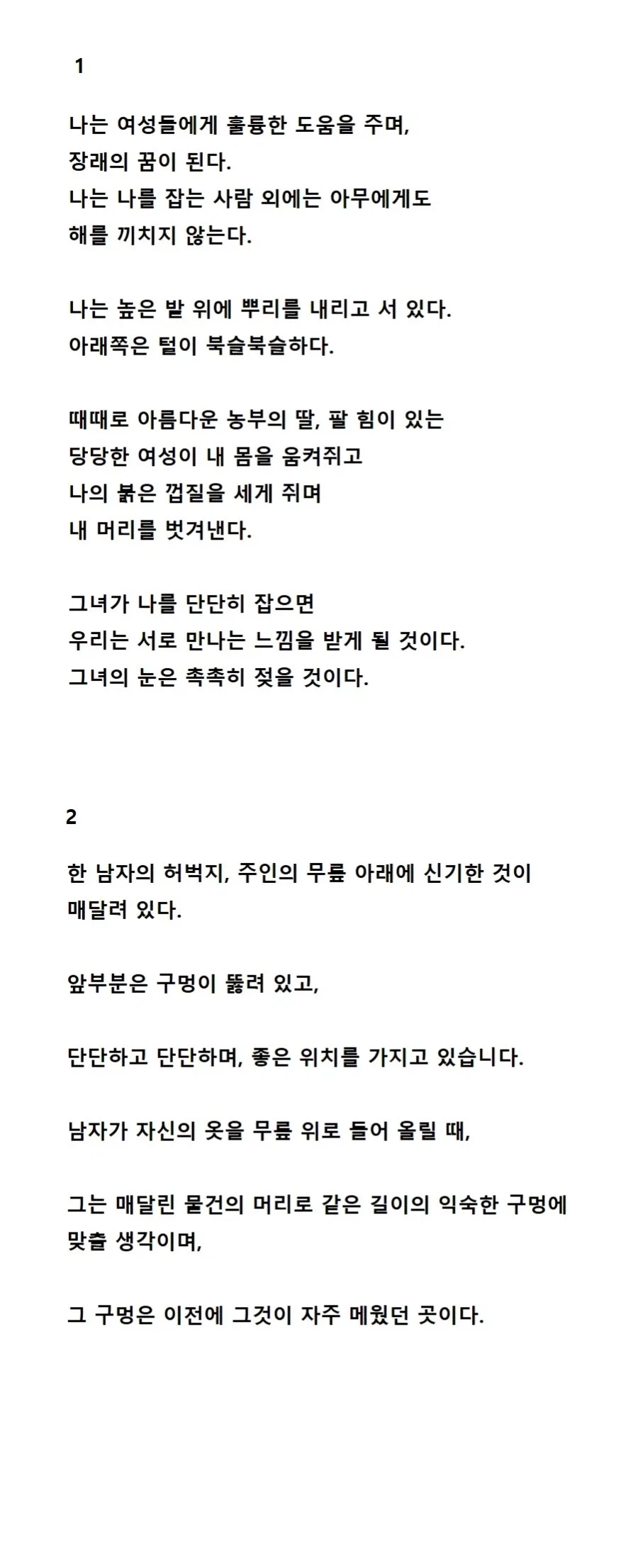 10세기 수도사들이 쓴 수수께끼_1.webp