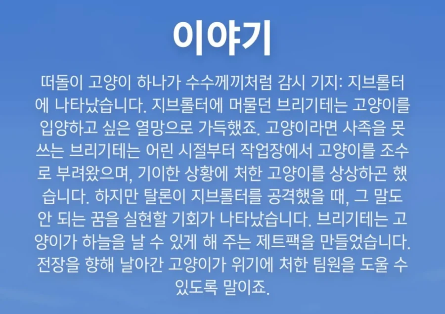 논?란의 옵치 신캐 고양이 설정_2.webp