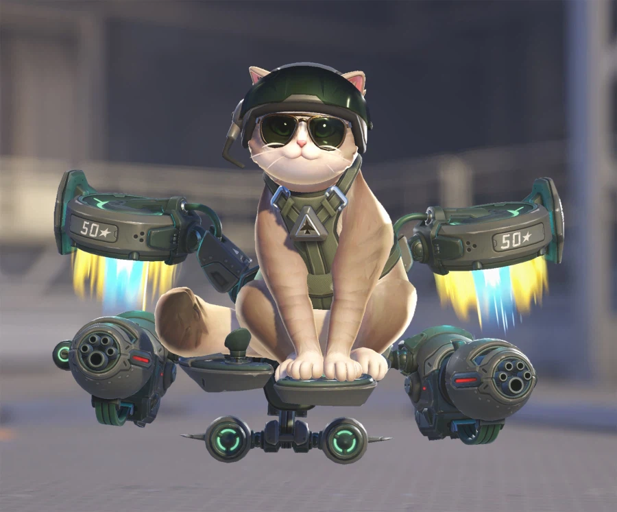 오버워치 시즌1 모든 스킨 총정리: 헬로우 키티 콜라보, 발렌타인데이 등_19.webp