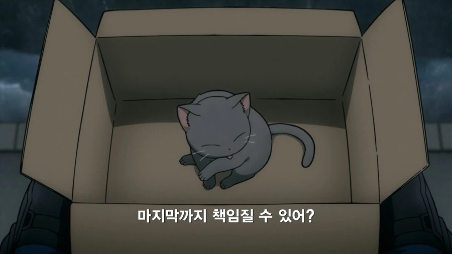 히로아카]의외로 고양이에 진심인편_12.webp