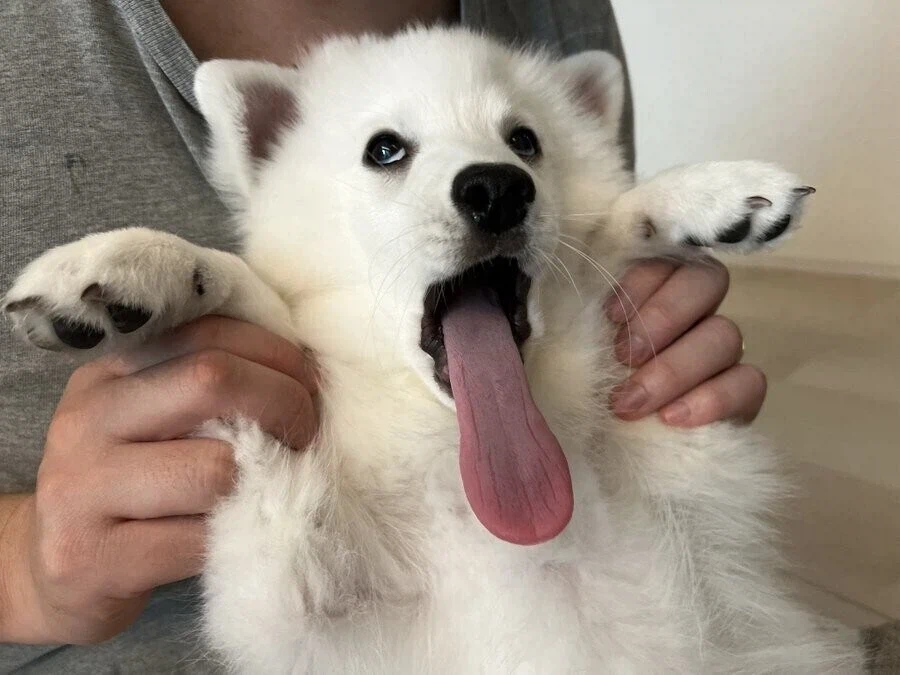 John나 배고프다_1.webp