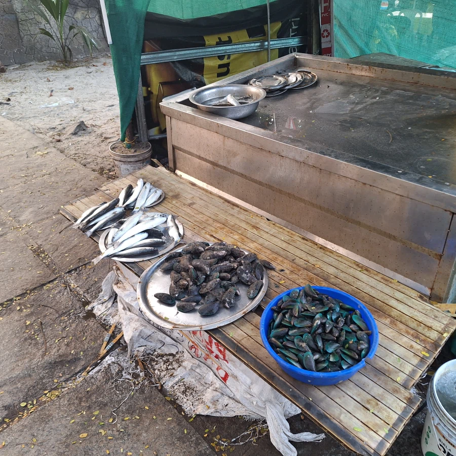 (스압) 인도 전통 소고기 요리 먹어봤습니다_7.webp