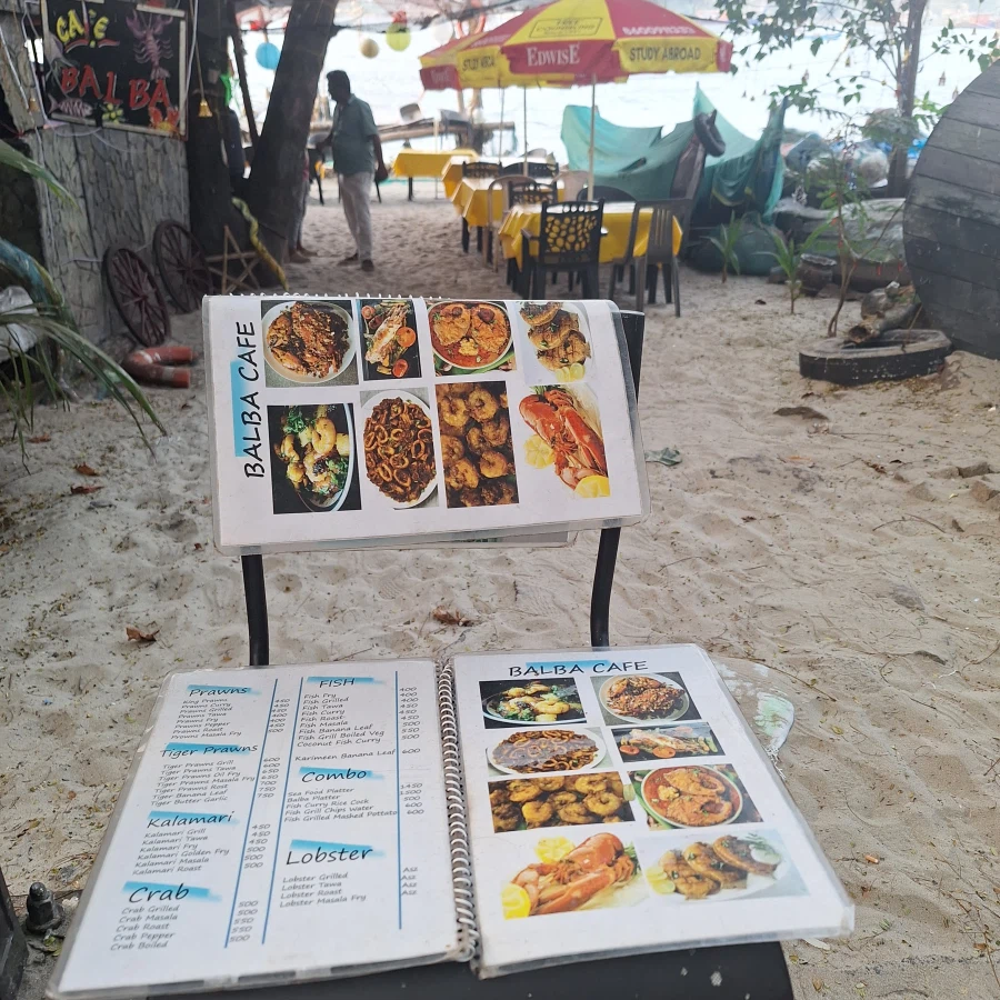 (스압) 인도 전통 소고기 요리 먹어봤습니다_10.webp