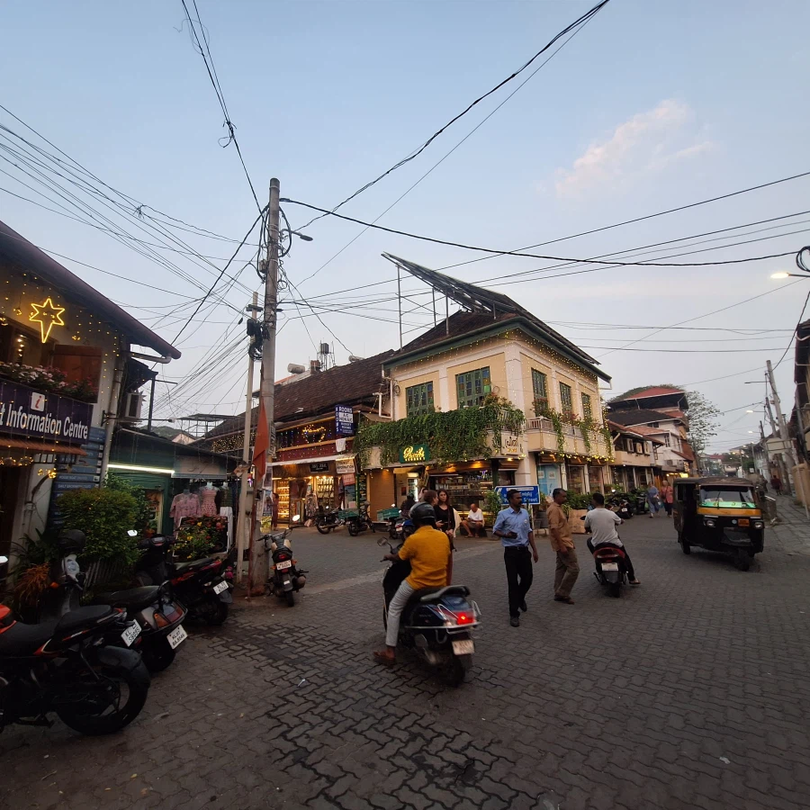 (스압) 인도 전통 소고기 요리 먹어봤습니다_13.webp