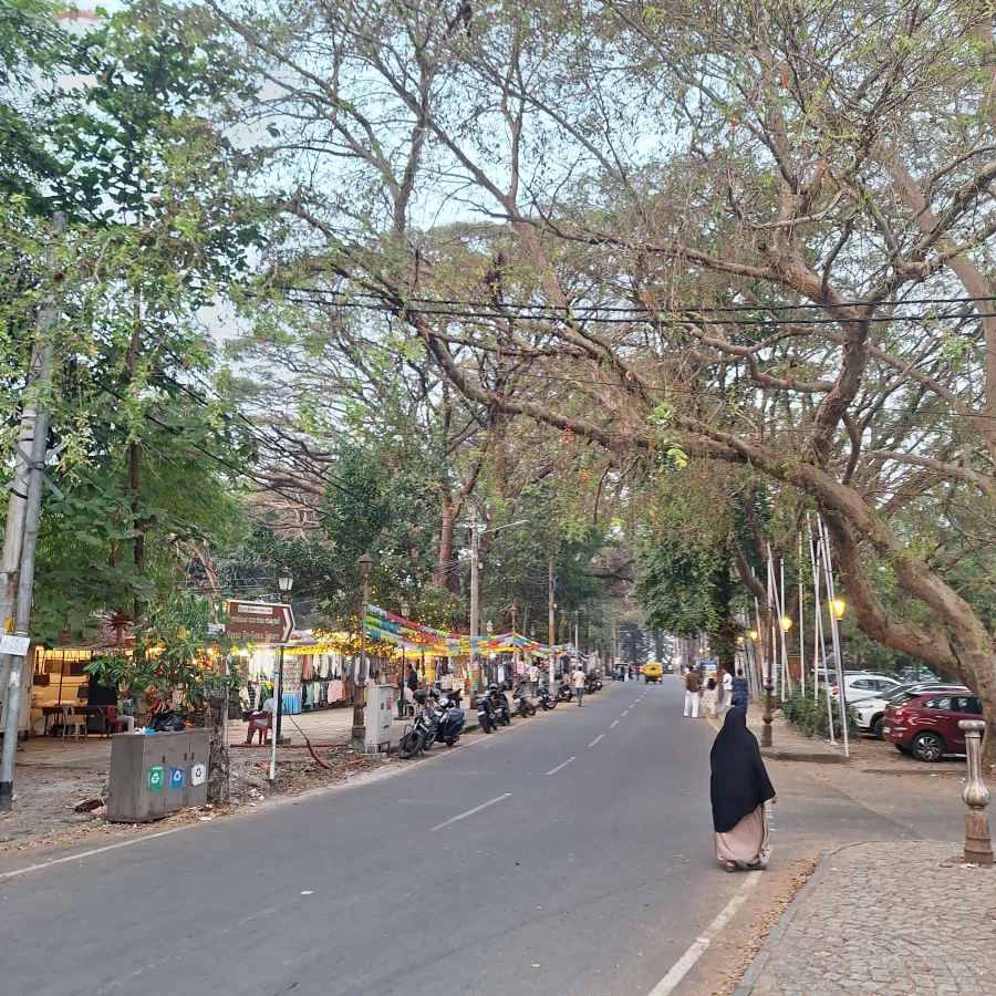 (스압) 인도 전통 소고기 요리 먹어봤습니다_14.webp