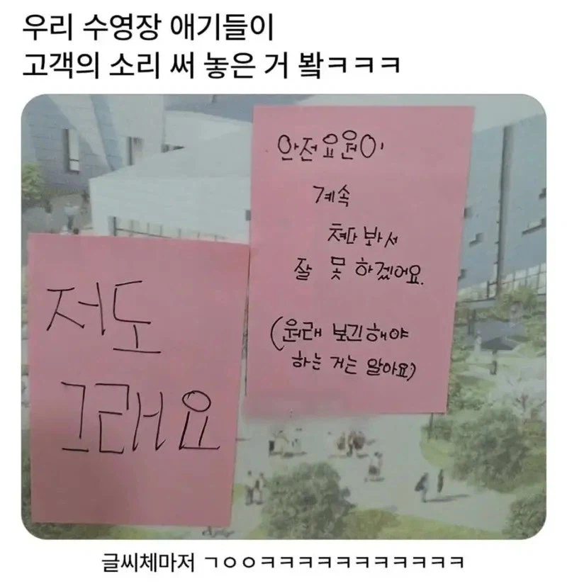 수영장 애기들의 '고객의 소리'_1.webp