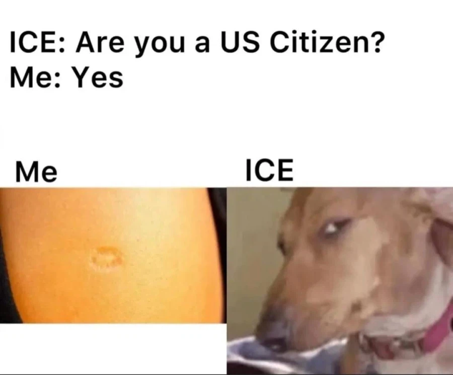 ICE : 당신은 미국 시민이 맞습니까?_1.webp