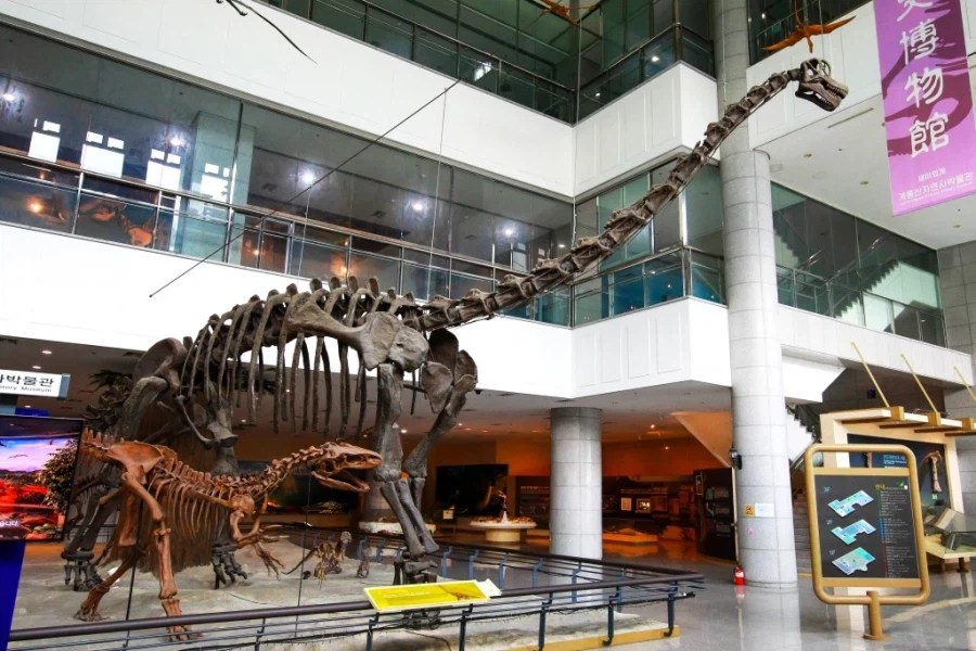 의외로 한국이 전세계에서 유일하게 가지고 있는것_2.webp