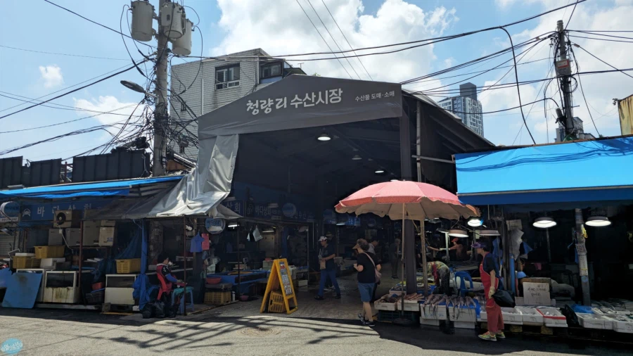 청량리 & 홍대 둘러보기.. 서울 나홀로 궁상여행 2일차_60.webp