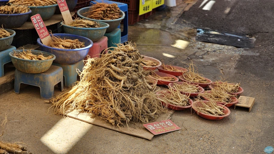 청량리 & 홍대 둘러보기.. 서울 나홀로 궁상여행 2일차_65.webp