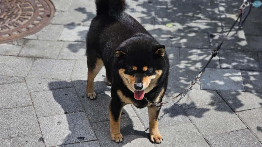 청량리 & 홍대 둘러보기.. 서울 나홀로 궁상여행 2일차_108.webp