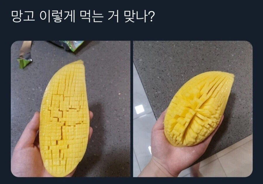 망고 이렇게먹는거 맞나?_1.webp