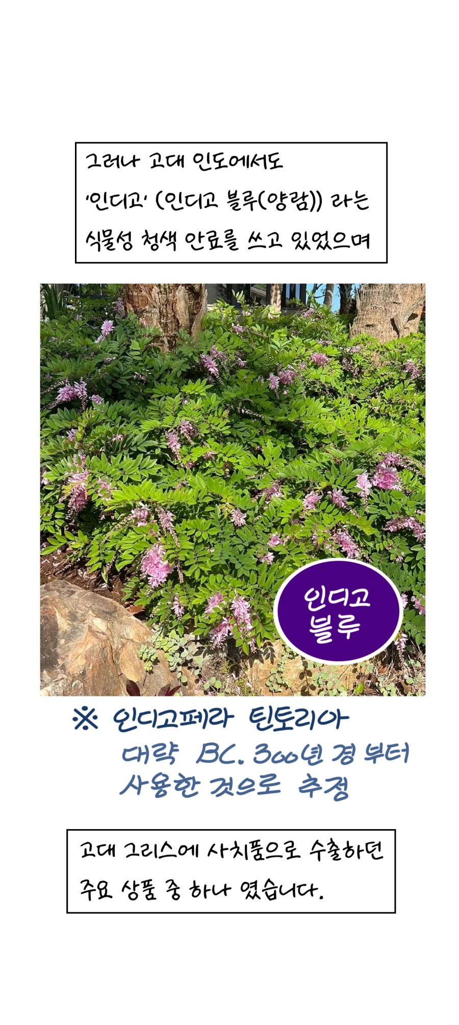 고대 인류는&nbsp;파란색을&nbsp;몰랐나요?_7.webp