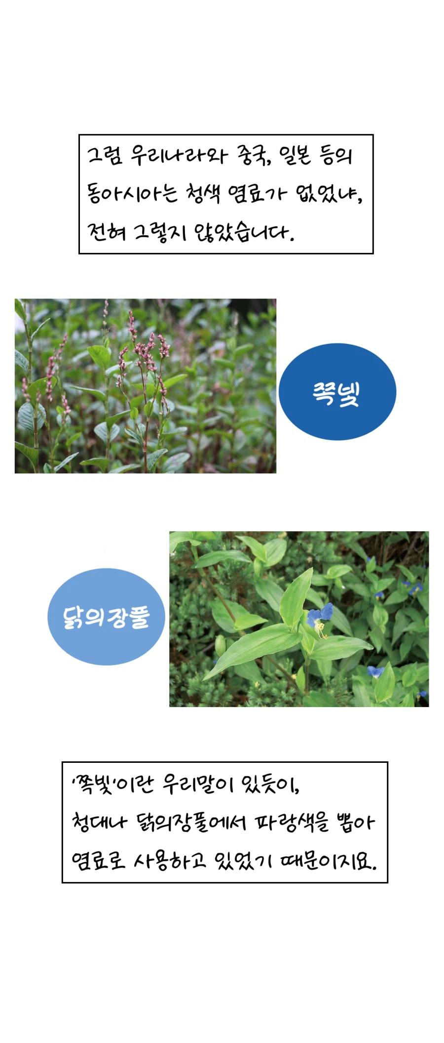 고대 인류는&nbsp;파란색을&nbsp;몰랐나요?_8.webp