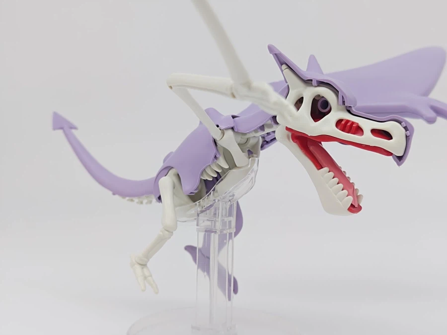 포켓몬 프라모 컬렉션 카세키 시리즈 견고라스 & 프테라 샘플 사진_2.webp