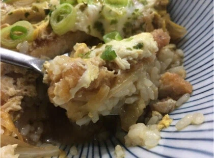 한국에서 가츠동 주문 했을 때 흔히 벌어지는 참사.jpg_4.webp