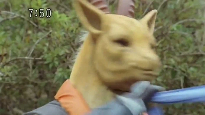 [수권전대 게키레인저] 니 스승? 이거 말이냐?_60.webp