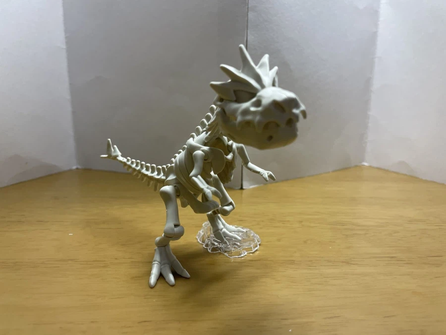 포켓몬 프라모 컬렉션 카세키 시리즈 견고라스 가조립 사진_6.webp